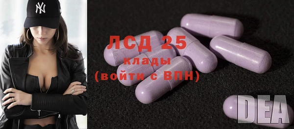 прущие грибы Навашино