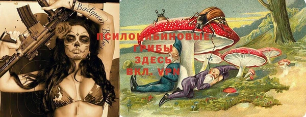 прущие грибы Навашино