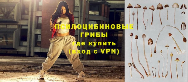 прущие грибы Навашино