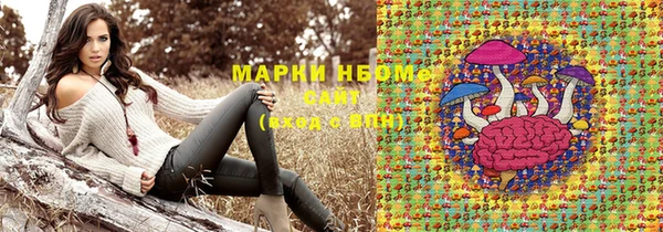прущие грибы Навашино