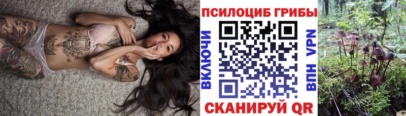 даркнет сайт  Нея  Галлюциногенные грибы Cubensis 
